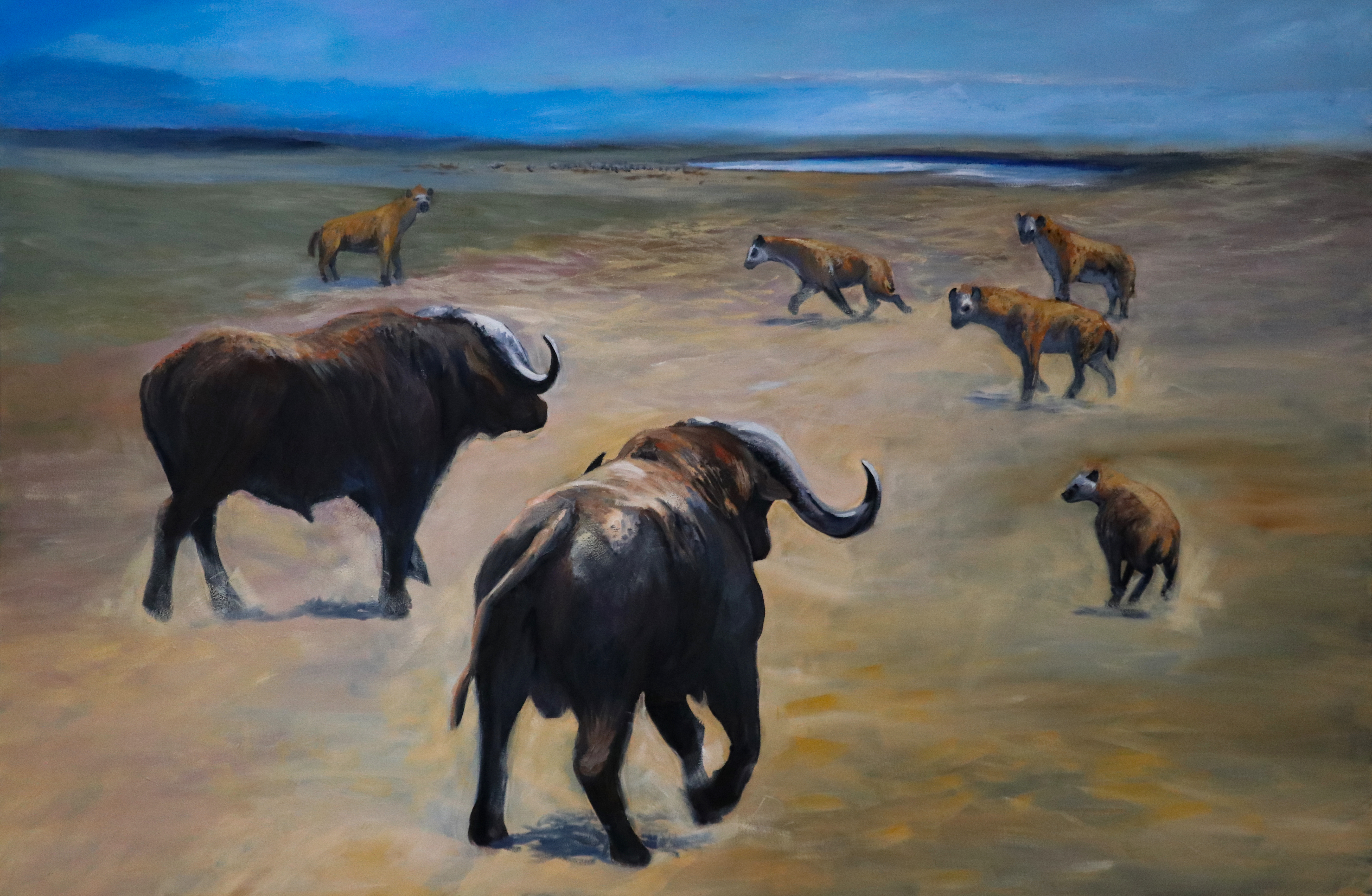 'Horns' 2019 oil-canvas 48x72